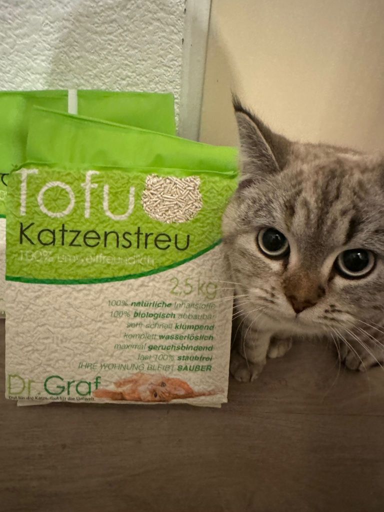 Katja’s MEINUNG