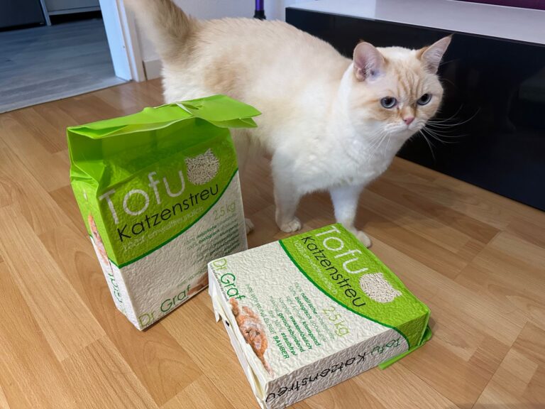 Manuels Katze