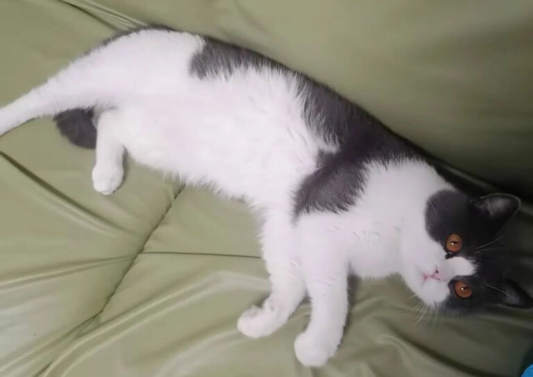Grüsse von Flanna